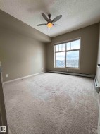 Expansive room featuring a large multi-pane window, neutral carpet flooring, and a ceiling fan with integrated lighting - 