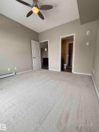 Neutral tone wall paint with light-colored carpeting - 