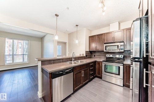 230 308 Ambleside Link Link, Edmonton, AB - Indoor Photo Showing Kitchen With Double Sink
