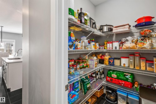 3087 Carpenter Landing, Edmonton, AB - Indoor With Storage