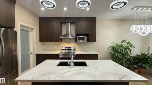 1459 Cherniak Way, Edmonton, AB - Indoor Photo Showing Kitchen With Stainless Steel Kitchen With Upgraded Kitchen