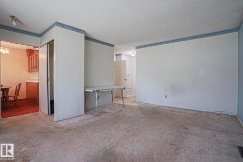 12106 43 Street, Edmonton, AB - Indoor Photo Showing Other Room