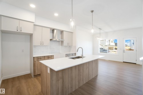 4027 207 Street, Edmonton, AB - Indoor Photo Showing Kitchen With Double Sink With Upgraded Kitchen