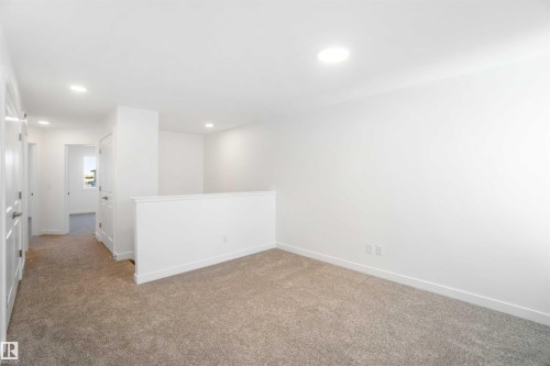 4027 207 Street, Edmonton, AB - Indoor Photo Showing Other Room