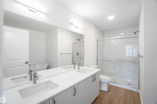 4027 207 Street, Edmonton, AB - Indoor Photo Showing Bathroom