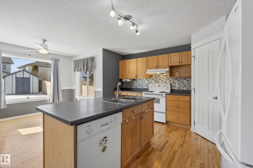8915 7 Avenue, Edmonton, AB - Indoor Photo Showing Kitchen With Double Sink