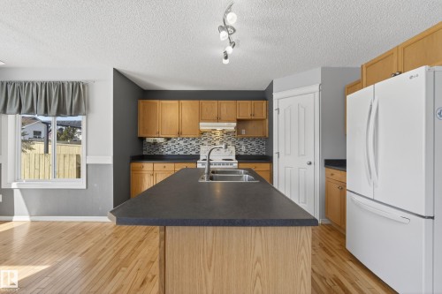 8915 7 Avenue, Edmonton, AB - Indoor Photo Showing Kitchen With Double Sink