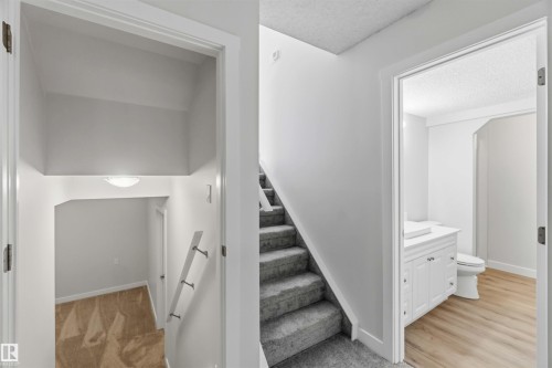 Carpeted stairs leading to a lower level with a light-colored wood-finish floor bathroom featuring a white vanity - 119 Dorchester Drive, St. Albert, AB - Indoor Photo Showing Other Room