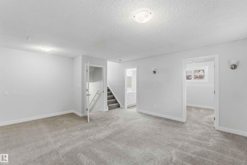 Spacious carpeted room featuring light gray walls, white trim, and flush-mount ceiling lighting - 119 Dorchester Drive, St. Albert, AB - Indoor Photo Showing Other Room