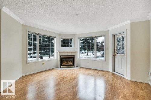114 17150 94A Ave, Edmonton, AB - Indoor Photo Showing Living Room With Fireplace