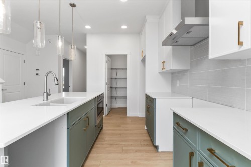 2704 188 Street, Edmonton, AB - Indoor Photo Showing Kitchen With Upgraded Kitchen