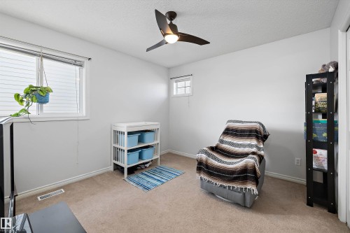 Room with light-toned walls, carpet flooring, a ceiling fan with integrated lighting, and multiple windows - 1811 37 Avenue, Edmonton, AB - Indoor