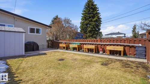 Expansive backyard featuring a manicured lawn, a detached storage shed, and a privacy fence - 13533 119 Street, Edmonton, AB - Outdoor
