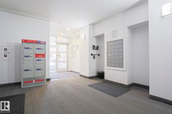 Entryway featuring carpeting, white walls, and dark gray baseboards - 