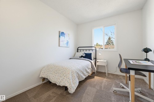 Light-filled room featuring a double-pane window, neutral carpet flooring, and white painted walls - 8043 178 Street, Edmonton, AB - Indoor Photo Showing Bedroom