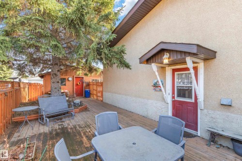 Expansive wood-finish deck bordered by a mature evergreen tree - 1619 Knottwood Road N, Edmonton, AB - Outdoor With Deck Patio Veranda With Exterior