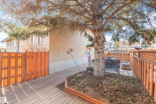 Wooden deck with slatted privacy fencing, featuring a mature evergreen tree and a raised garden bed - 1619 Knottwood Road N, Edmonton, AB - Outdoor
