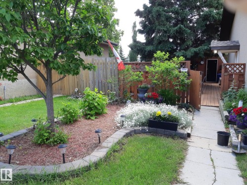 Expansive backyard featuring a mature tree, stone-edged garden beds with mulch, a wooden fence, a wooden ramp, and a concrete pathway - 1619 Knottwood Road N, Edmonton, AB - Outdoor