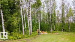 Expansive green lawn surrounded by mature deciduous trees - 