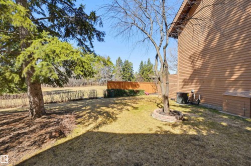 Spacious lawn area with mature trees, a wooden privacy fence, and a horizontal siding exterior - 139 Wolf Willow Crescent, Edmonton, AB - Outdoor