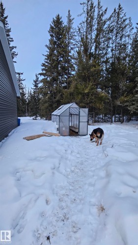 Handy greenhouse perfect for happy plants. - 58513 Range Road 231, Rural Thorhild County, AB - Outdoor