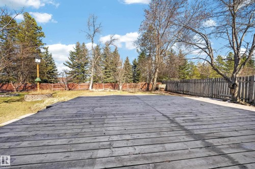 Expansive wood-finish deck with mature trees, a wooden privacy fence, and a grass lawn - 1767 61 Street, Edmonton, AB - Outdoor