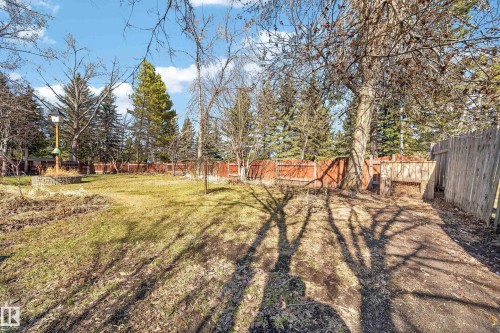 Expansive rear yard featuring a large grass area, mature deciduous trees, evergreen trees, a wooden privacy fence, and a built-in garden bed - 1767 61 Street, Edmonton, AB - Outdoor