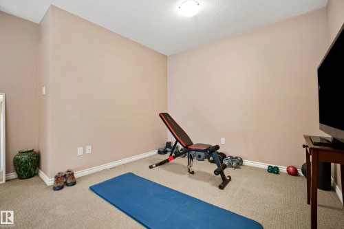 9 9231 213 Street, Edmonton, AB - Indoor Photo Showing Gym Room