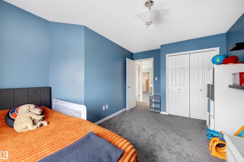 Bedroom featuring blue walls, grey carpeting, a white ceiling, and a ceiling-mounted light fixture - 2504 Coughlan Road, Edmonton, AB - Indoor Photo Showing Bedroom
