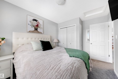 Bedroom featuring a tufted upholstered headboard, dual bi-fold closet doors, wall-to-wall carpeting, and an overhead light fixture - 2504 Coughlan Road, Edmonton, AB - Indoor Photo Showing Bedroom