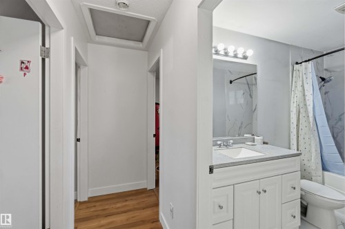 3119 110 Avenue, Edmonton, AB - Indoor Photo Showing Bathroom