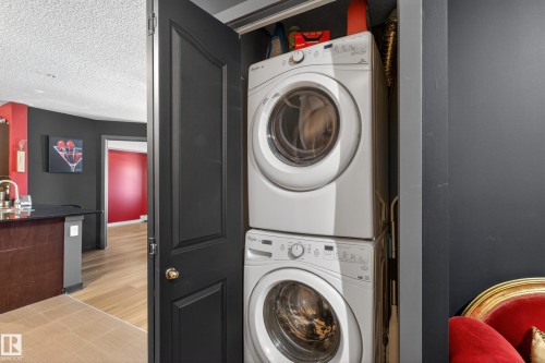 308 12045 22 Avenue, Edmonton, AB - Indoor Photo Showing Laundry Room