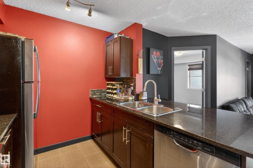 308 12045 22 Avenue, Edmonton, AB - Indoor Photo Showing Kitchen With Double Sink