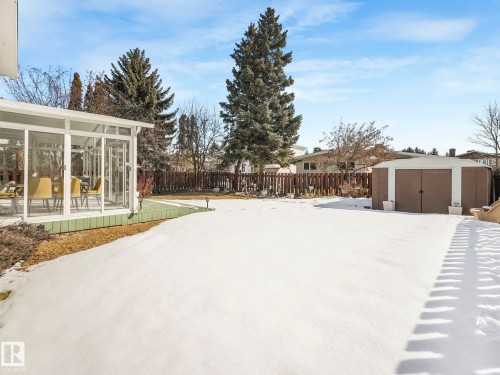 The property features a sunroom with ample windows, a spacious yard with a storage shed, and mature evergreen trees - 3421 112A Street, Edmonton, AB - Outdoor