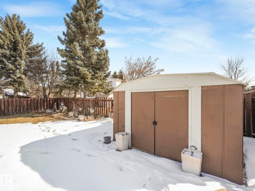 The property includes a spacious yard with a brown picket fence and mature evergreen trees - 3421 112A Street, Edmonton, AB - Outdoor