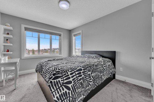 Spacious room featuring gray wall paint, light gray carpeting, and white baseboards - 3702 Claxton Place, Edmonton, AB - Indoor Photo Showing Bedroom