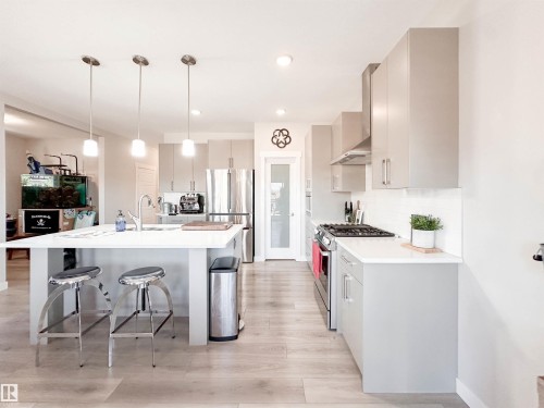103 Joyal Way, St. Albert, AB - Indoor Photo Showing Kitchen With Upgraded Kitchen