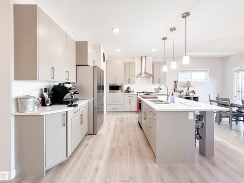 103 Joyal Way, St. Albert, AB - Indoor Photo Showing Kitchen With Double Sink With Upgraded Kitchen