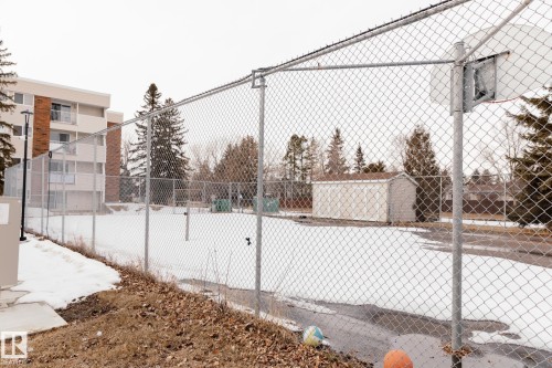 A fenced outdoor court area is present, featuring a chain-link fence and a basketball hoop - 42 11245 31 Avenue, Edmonton, AB - Outdoor