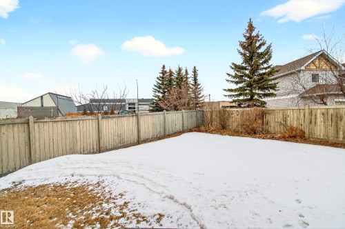 Fenced backyard featuring mature evergreen trees and a multi-level privacy fence - 8922 5Av, Edmonton, AB - Outdoor