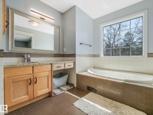 160 Carlson Close, Edmonton, AB - Indoor Photo Showing Bathroom