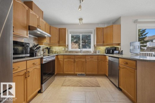 17624 96 Avenue, Edmonton, AB - Indoor Photo Showing Kitchen With Double Sink