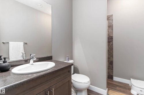 8355 Ellis Crescent, Edmonton, AB - Indoor Photo Showing Bathroom