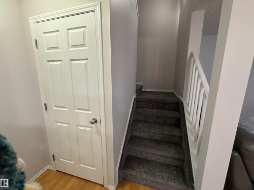 Interior staircase featuring plush carpet and painted railing - 97 2021 Grantham Crest, Edmonton, AB - Indoor Photo Showing Other Room