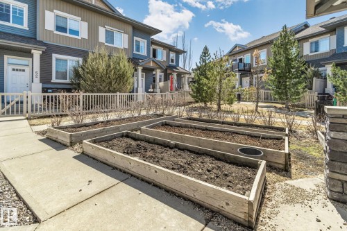 55 1030 Chappelle Boulevard, Edmonton, AB - Outdoor