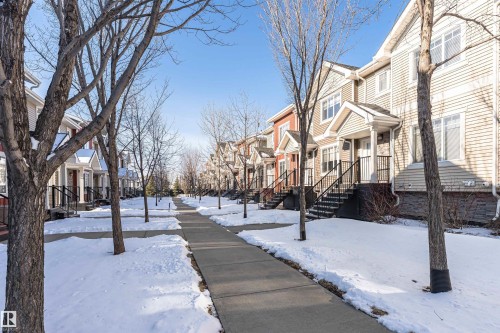 The community features a sidewalk lined with bare trees, with properties featuring exterior siding and front entries with stairs and handrails - 35 675 Albany Way Nw, Edmonton, AB - Outdoor With Facade