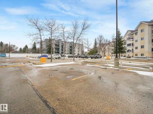 Paved parking area with yellow line markings, featuring multiple parking stalls and concrete barriers - 143 10636 120 Street Nw, Edmonton, AB - Outdoor