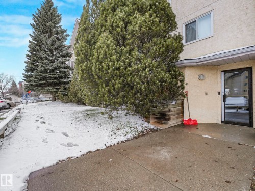 Cream stucco exterior with a prominent glass entry door, concrete walkway, and established evergreen landscaping - 143 10636 120 Street Nw, Edmonton, AB - Outdoor