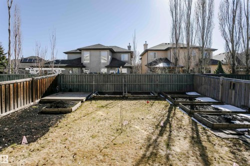 Fenced backyard featuring multiple raised garden beds and a wood deck - 1915 126 Street, Edmonton, AB - Outdoor