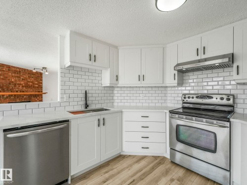 4103 28 Avenue, Edmonton, AB - Indoor Photo Showing Kitchen With Double Sink With Upgraded Kitchen